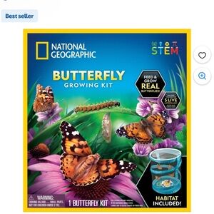 National Geographic Butterfly Growing Kit